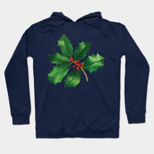 Holly Branch Hoodie